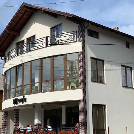 Pensiunea Ok Felsővisó Kültér fotó